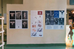 kiallitas_20241013103355_DW2024_KlarikLorand_DSC08150